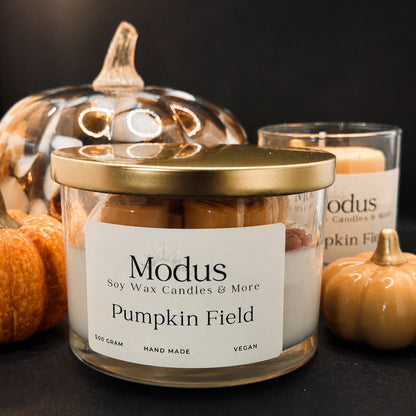 Pumpkin Field Sojawas Kaars - Modus Candles & More