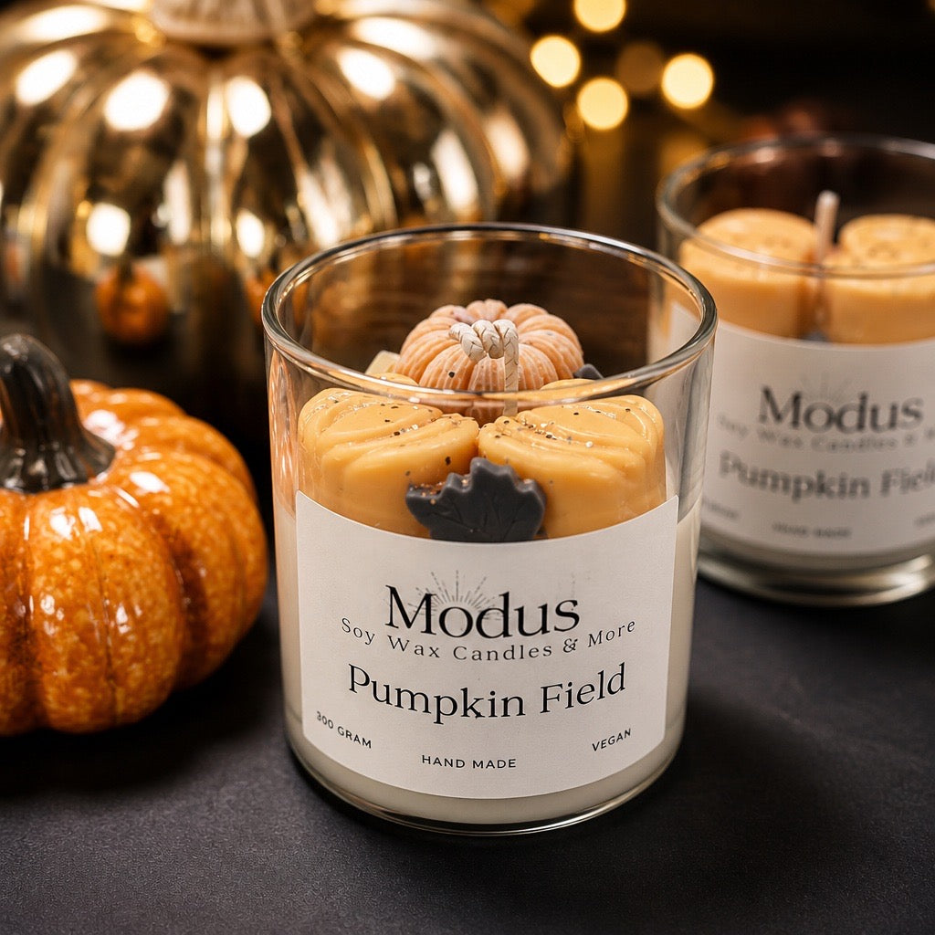 Pumpkin Field Sojawas Kaars - Modus Candles & More