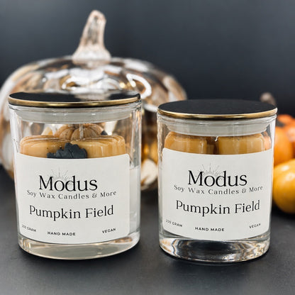 Pumpkin Field Sojawas Kaars - Modus Candles & More