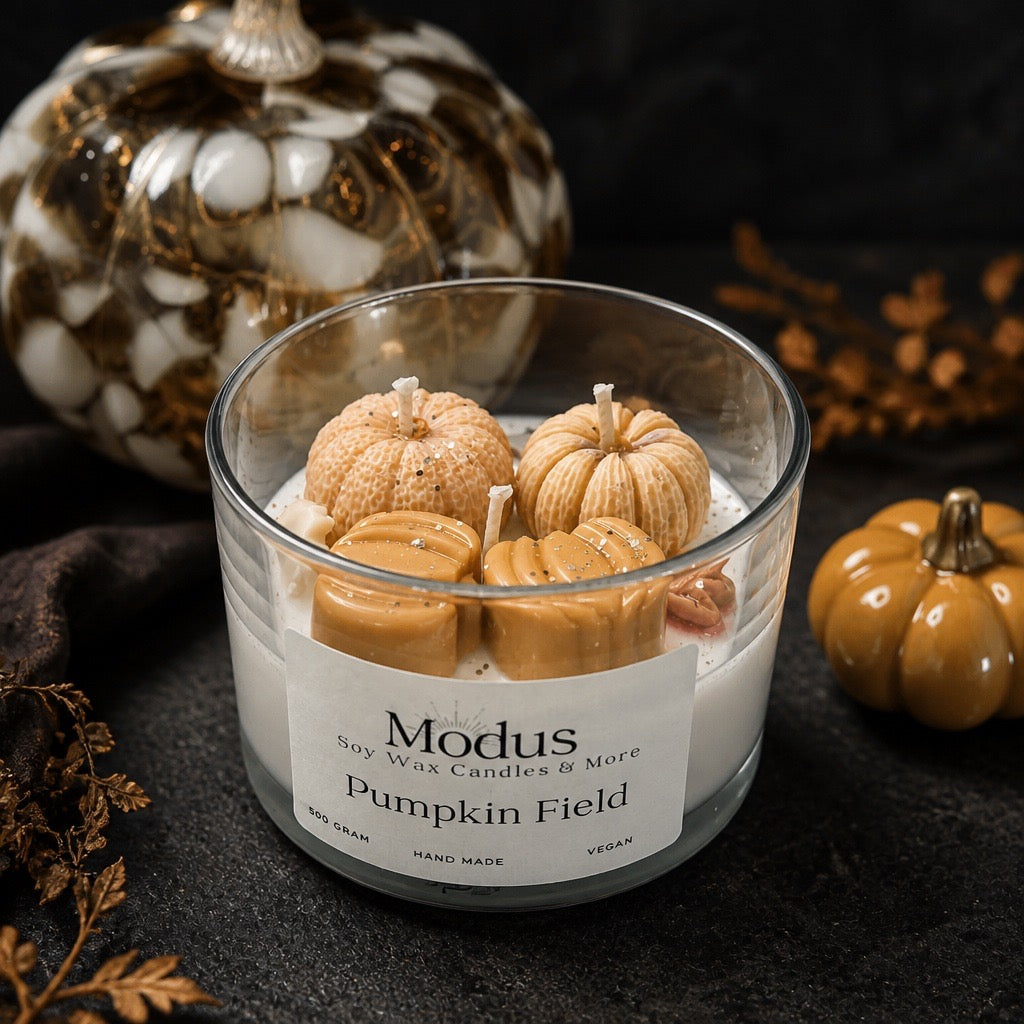 Pumpkin Field Sojawas Kaars - Modus Candles & More