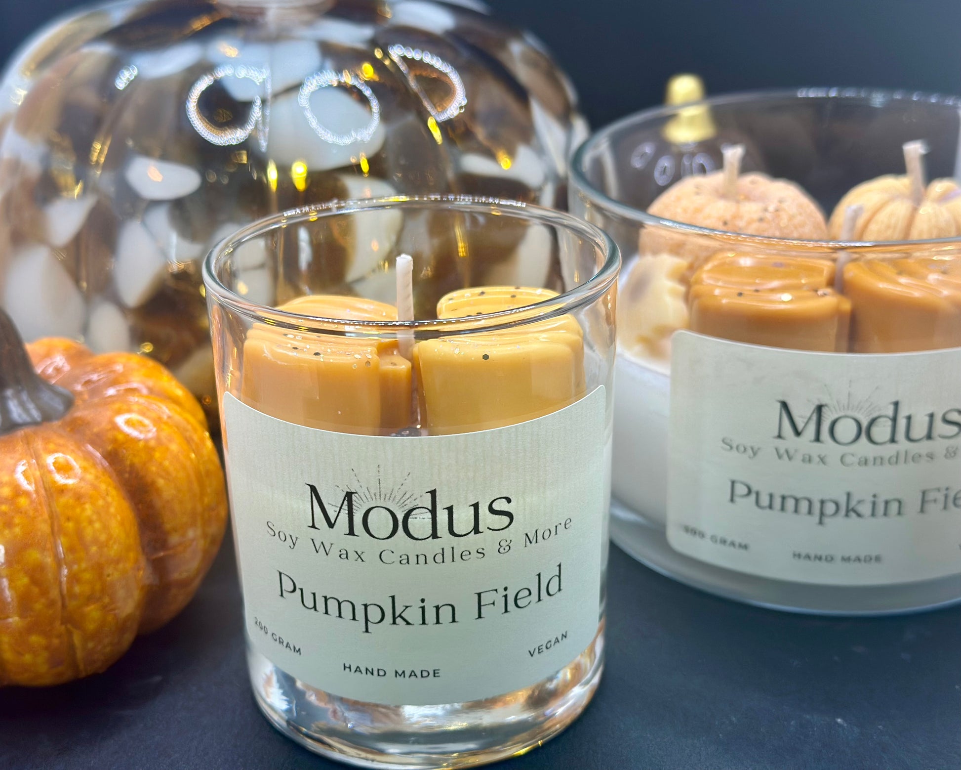 Pumpkin Field Sojawax Kaars - Modus Candles & More