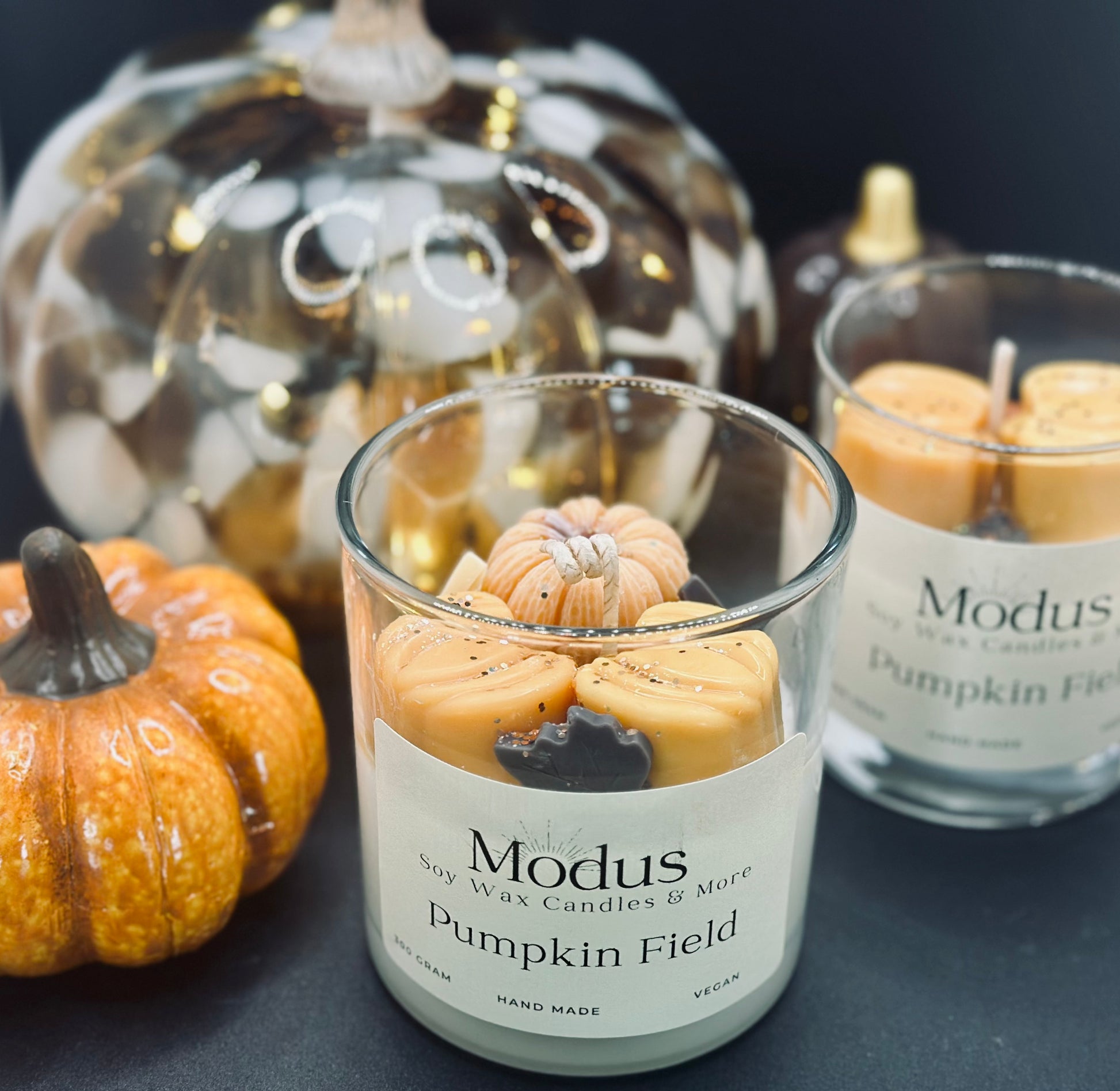Pumpkin Field Sojawax Kaars - Modus Candles & More