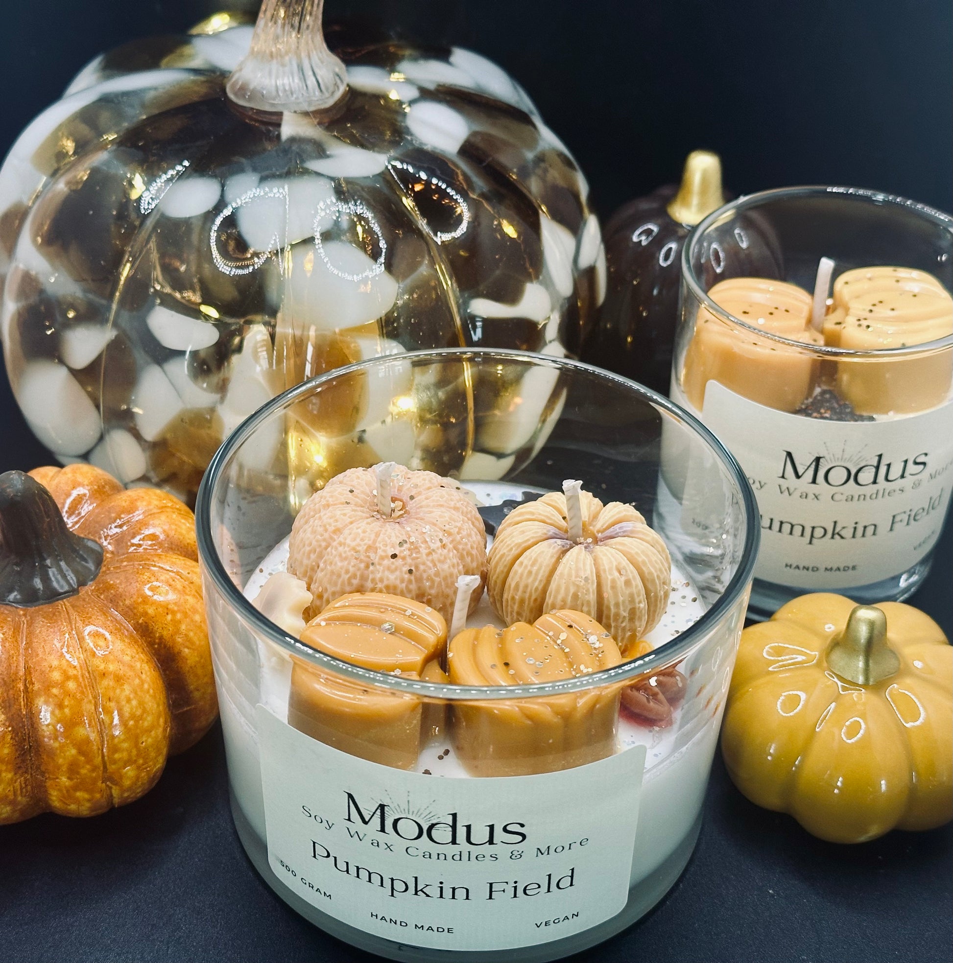 Pumpkin Field Sojawax Kaars - Modus Candles & More