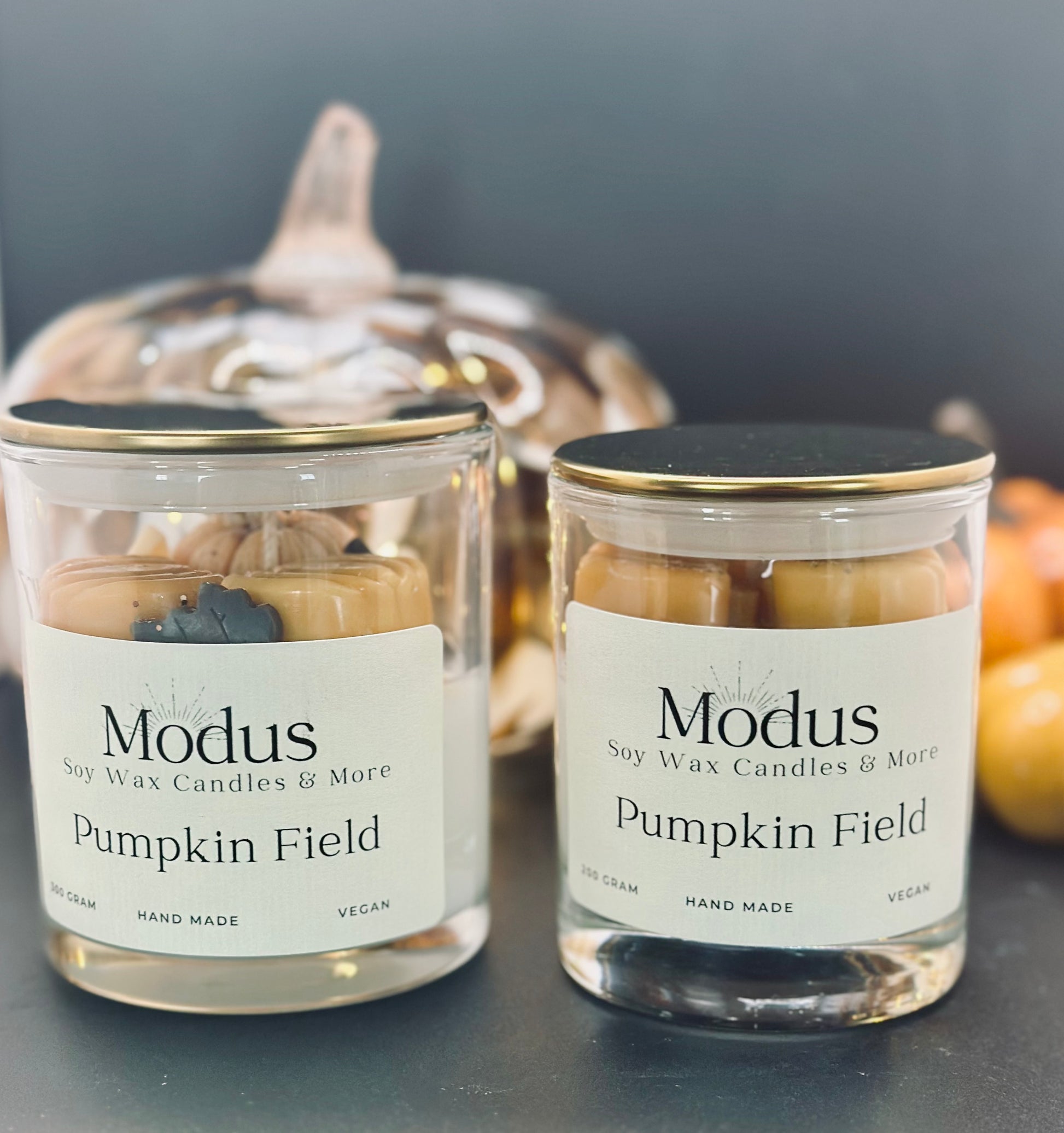 Pumpkin Field Sojawax Kaars - Modus Candles & More