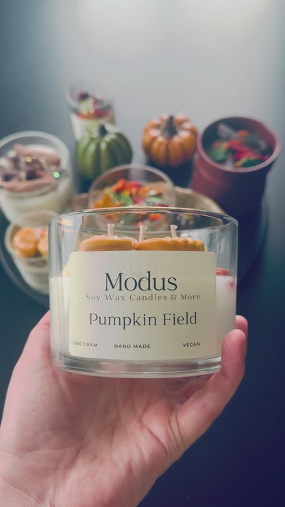 Pumpkin Field Sojawax Kaars