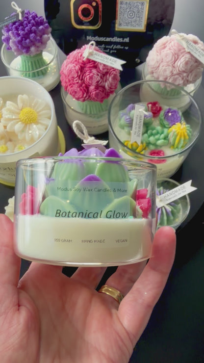 Botanical Glow sojawas geurkaars.
